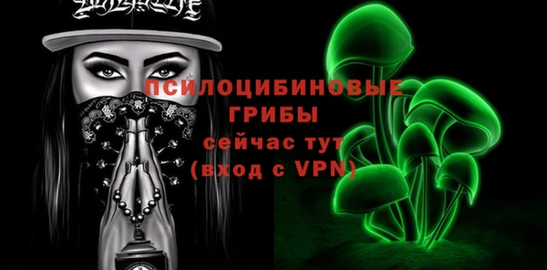 ПСИЛОЦИБИНОВЫЕ ГРИБЫ Иннополис