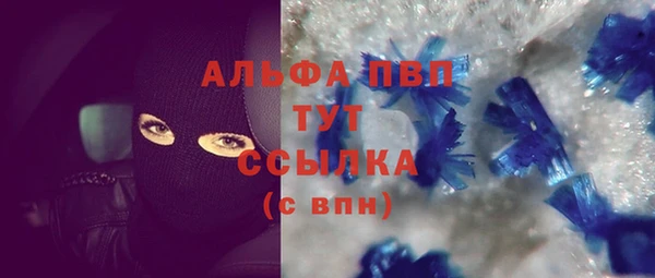 ПСИЛОЦИБИНОВЫЕ ГРИБЫ Иннополис
