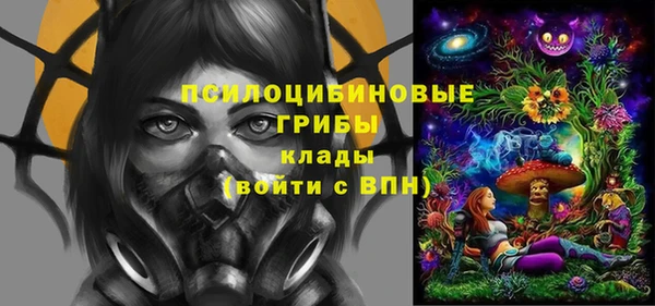 ПСИЛОЦИБИНОВЫЕ ГРИБЫ Иннополис