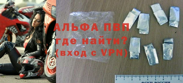 ПСИЛОЦИБИНОВЫЕ ГРИБЫ Иннополис