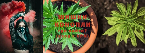 ПСИЛОЦИБИНОВЫЕ ГРИБЫ Иннополис