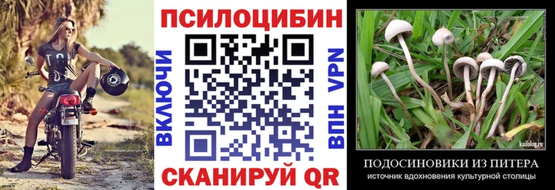 Псилоцибиновые грибы GOLDEN TEACHER  Исилькуль 